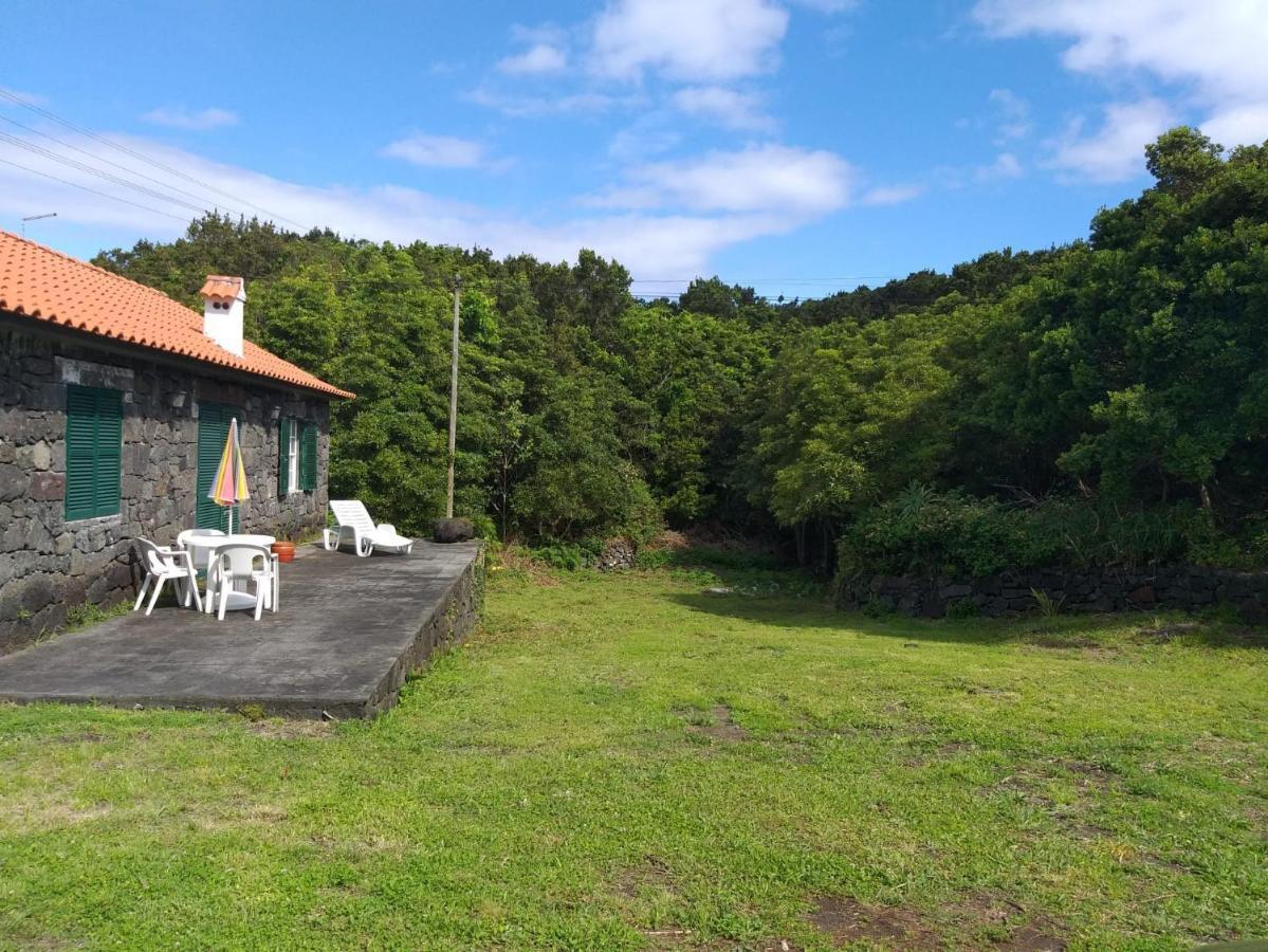 Azores Hibiscus House - Mountain And Sea São Roque do Pico Εξωτερικό φωτογραφία